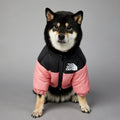 Shiba Inu dog in stylish pink and black warm jacket, perfect for autumn and winter outings.