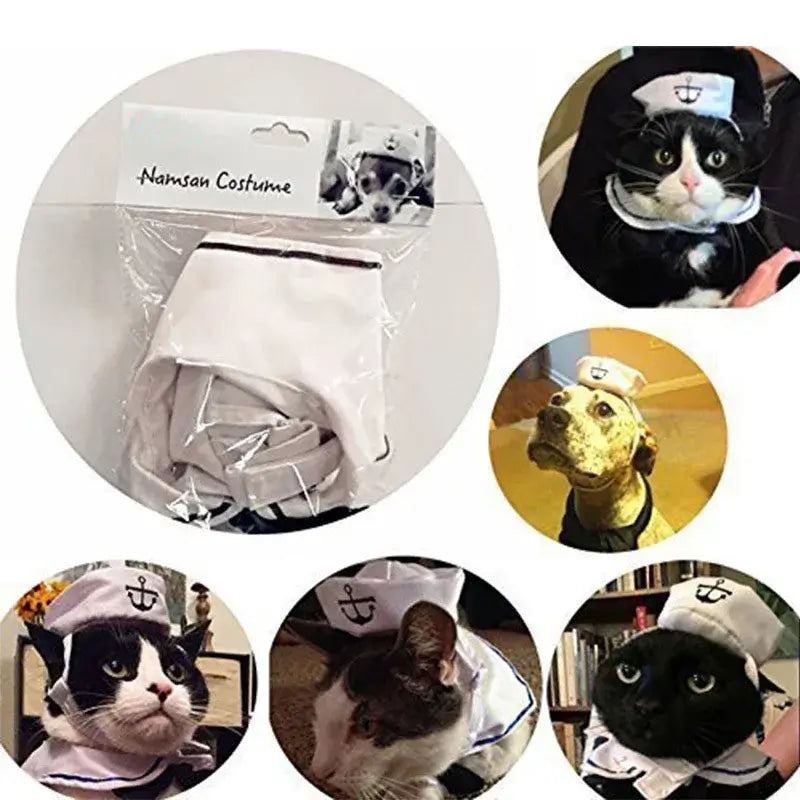 Funny pet cat sailor costume in packaging, featuring cats and a dog wearing the outfit for Halloween cosplay.