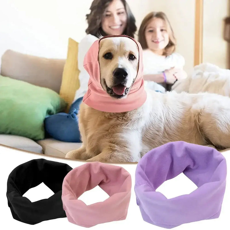 Golden retriever wearing a calming headscarf with colorful ear covers, sitting beside two smiling women on a couch.