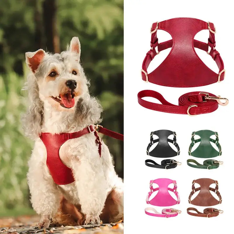 PU leather dog harness and leash set for small pets in various colors, showcasing a happy dog wearing the red harness.