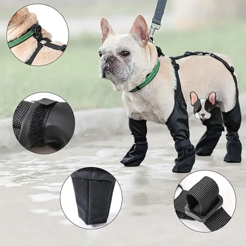 French Bulldog wearing waterproof anti-slip dog booties outdoors, showcasing adjustable straps and protective design.