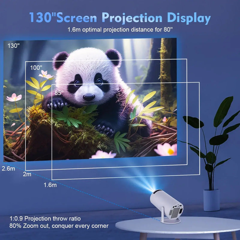 Win Projector