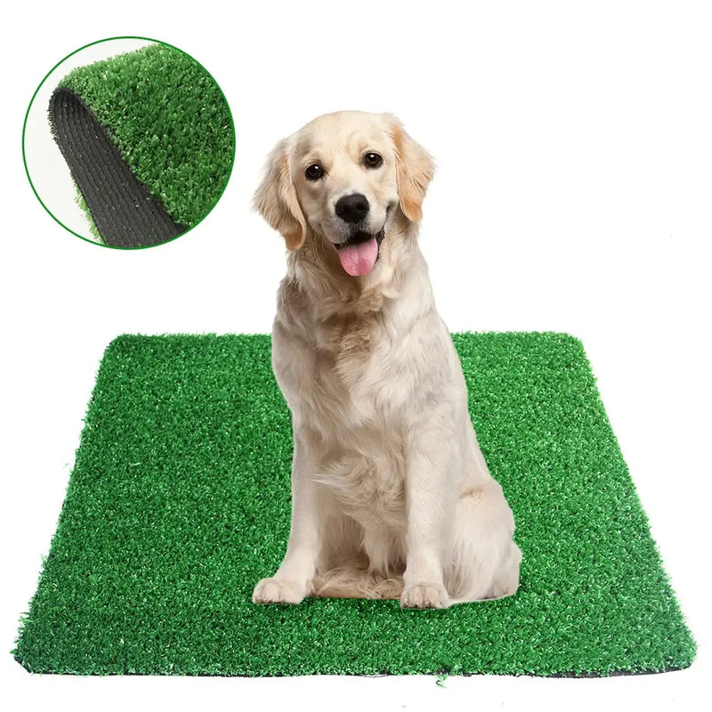 Golden Retriever sitting on washable green dog toilet urinal mat, designed for easy pet defecation in kennels.