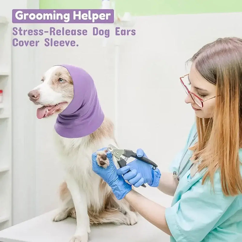 Dog wearing a purple stress-release ear cover during grooming with a groomer, showcasing a soothing pet care tool.