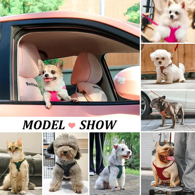 Collage of small dogs and a cat wearing colorful PU leather harnesses, showcasing styles and comfort for pet walking.