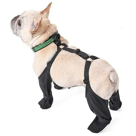 French bulldog wearing waterproof anti-slip dog shoes with harness for outdoor protection.