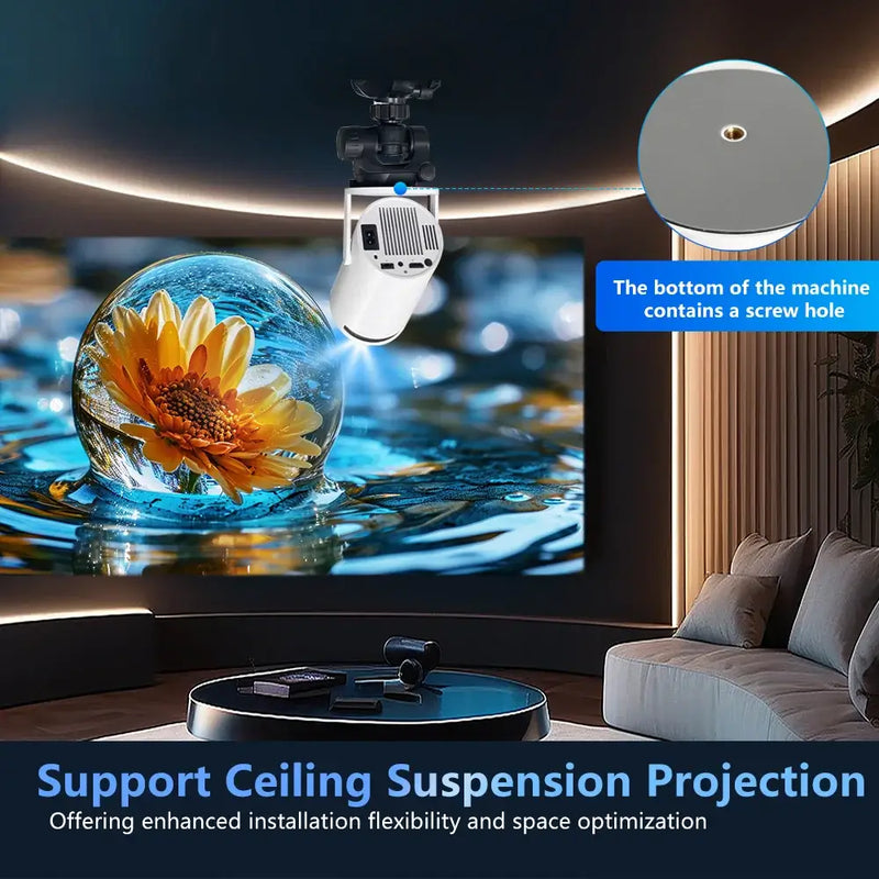 Win Projector