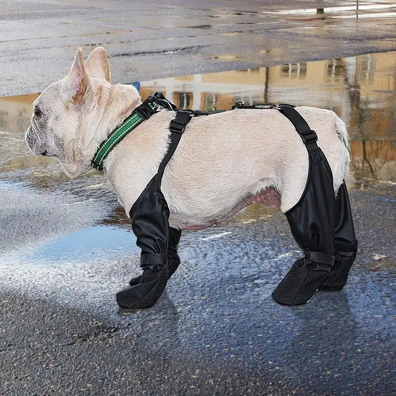 French Bulldog wearing waterproof anti-slip dog booties with harness on wet pavement.